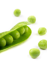 fresh green pea