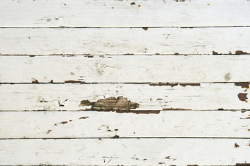 Fototapeta na wymiar Old White Painted Weathered Wood Texture