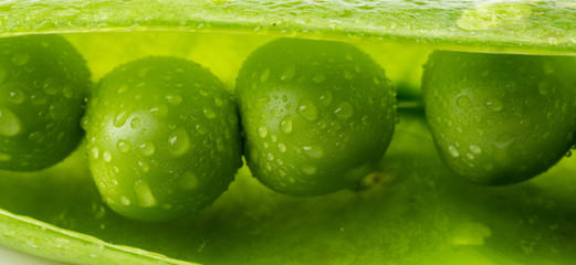 fresh green pea