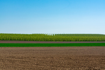 Spring landscape with farmers plowed fields, green grass, fruit trees orchards and blue sky