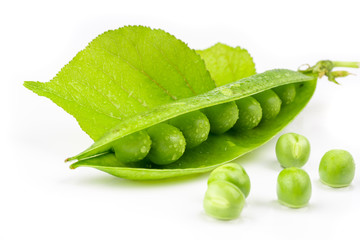 fresh green pea