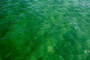 texture of surface of water