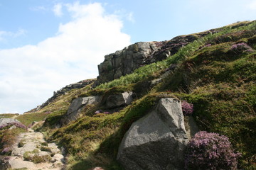 Moorland view