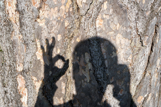 Is beatuiful and has varous interesting shapes and cracks that make this image perfect for backgrounds or editing. There are some handgestures out of the photographers shadows.