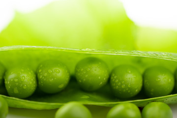 fresh green pea