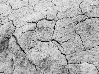 Cracked dried ground.Dried earth and grass close-up
