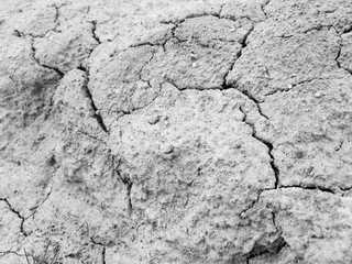 Cracked dried ground.Dried earth and grass close-up