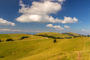 Fototapeta premium Semnoz, Massif des Bauges, Alpes