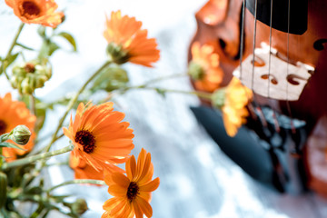 Horizontal image of the bottom half of violin with sheet music and flowers the front of the fiddle on windows
