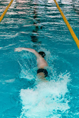 Crawl swimming competitions in the sports pool