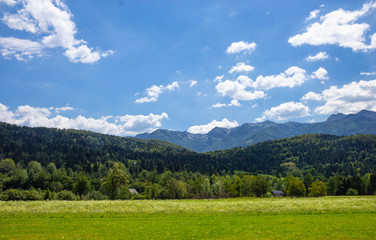 Beautiful Pastures of Triglav National Park, Julian Alps, Slovenia