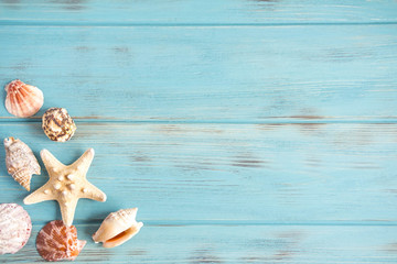 Sea wooden background of blue color with seashells. Natural seashells with copy space. The basis for the design of the marine banner, greeting card. Postcard from travel