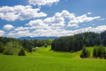 Obraz premium Beautiful Pastures of Triglav National Park, Julian Alps, Slovenia