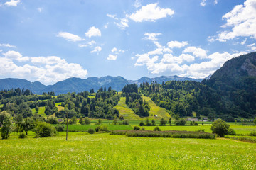 Beautiful Pastures of Triglav National Park, Julian Alps, Slovenia