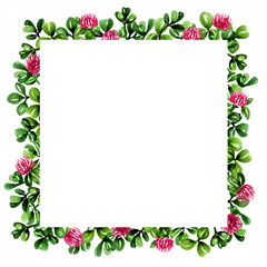 Red clover flowers with leaves - Botanical healing herbs watercolor  illustration - decorative frame  - isolated on white background