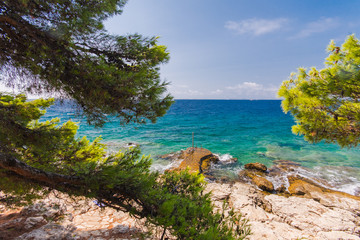 Fototapeta na wymiar Island Murter turquoise lagoon beach, Dalmatia, Croatia