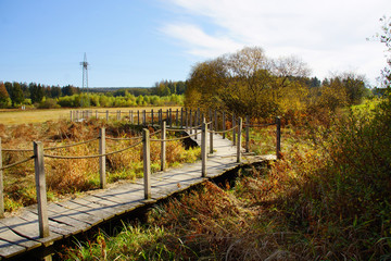 Steg durch das Moorgebiet an der Burgruine Baldenau im Hunsrück