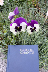 Livre de messe et chants et pensées. / Mass book and songs and thoughts.
