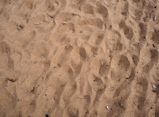 Sand texture
