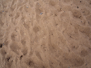 Fototapeta premium Sand texture