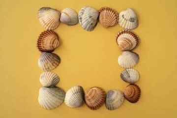 Photo of sea shells. Yellow background. Summer concept.
