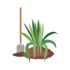 tree to plant isolated icon