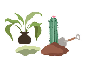 cactus and tree to plant isolated icon