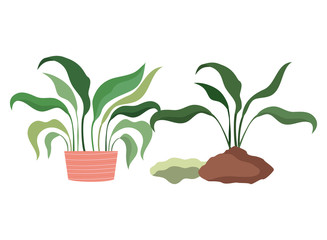 houseplants with potted isolated icon