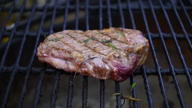 Steak. A large piece of meat to roast on the grill. Meat of an animal. Meat of various roasting: extra-rare, blue, rare, medium rare, medium, medium well, well done, too well done, overcooked
