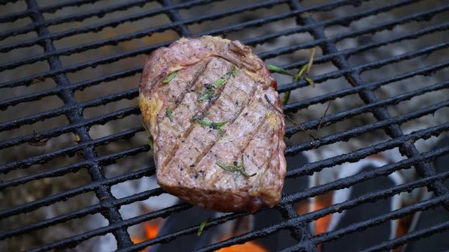 Steak. A large piece of meat to roast on the grill. Meat of an animal. Meat of various roasting: extra-rare, blue, rare, medium rare, medium, medium well, well done, too well done, overcooked