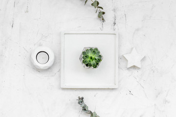 modern design of work desk with plant, candle, star figures on white marble background top view