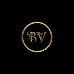 Circle Gold BV Letter Logo