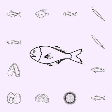 Orange Roughy Icon. Fish Icons Universal Set For Web And Mobile