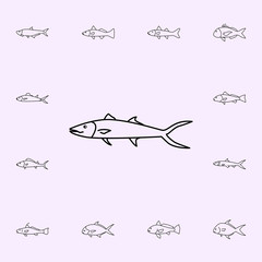 king mackerel icon. Fish icons universal set for web and mobile