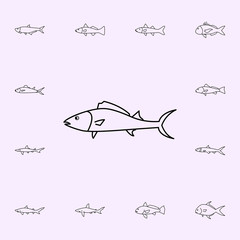 atlantic bontio icon. Fish icons universal set for web and mobile