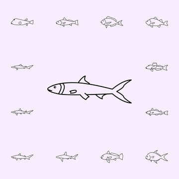 ladyfish icon. Fish icons universal set for web and mobile
