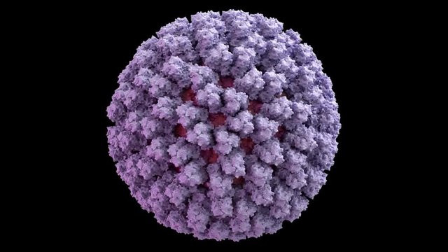 Bluetongue Virus (BTV) Capsid Structure based on PDB : 2BTV, 360 degree rotation loop