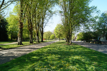 path in the park