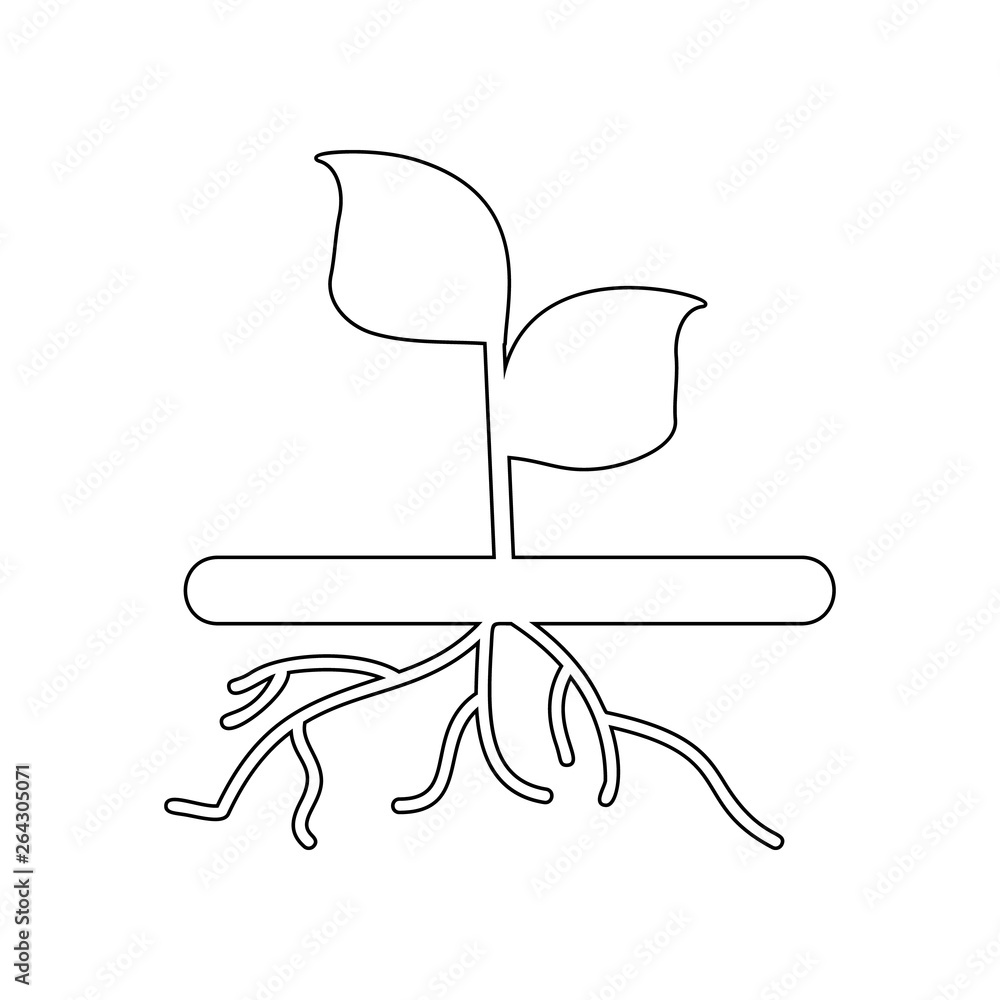 Poster plant with roots icon. element of garden for mobile concept and web apps icon. outline, thin line ic