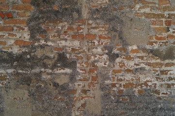 texture of old wall