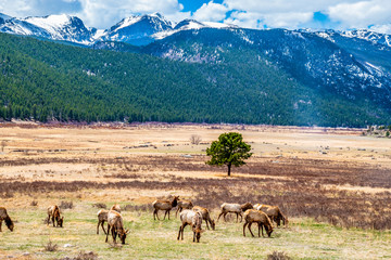 Beautiful Spring Hike to Flattop Mountain in Rocky Mountain National Park, Colorado