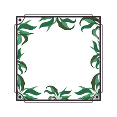 frame with foliage isolated icon