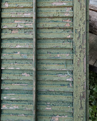 old wooden door or shutter, green peeling paint
