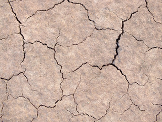 Dry soil surface due to lack of rain
