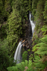 Double drop waterfall in a rainforest, Philosopher's Falls, Tasmania