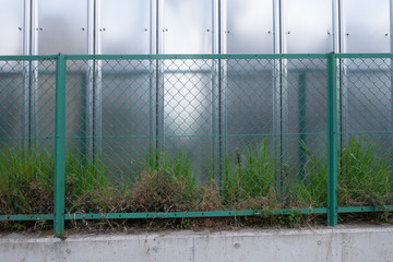 Fences with weeds