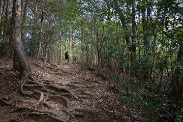 Hiking Kumano Kodo from Takijiri-oji to Takahara section. Kumano Kodo is a series of ancient...