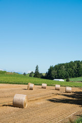 刈り取りが終わったムギ畑とムギロール