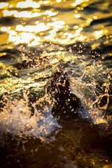 Sea waves crash against cameras during sunset