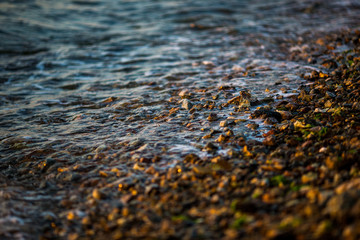 Stony seashore close up. Waves roll on small stones during sunset